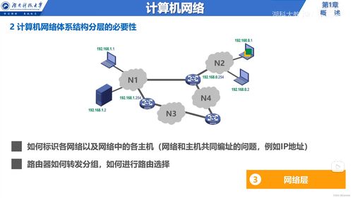計算機網絡體系結構及互聯網信息服務概述
